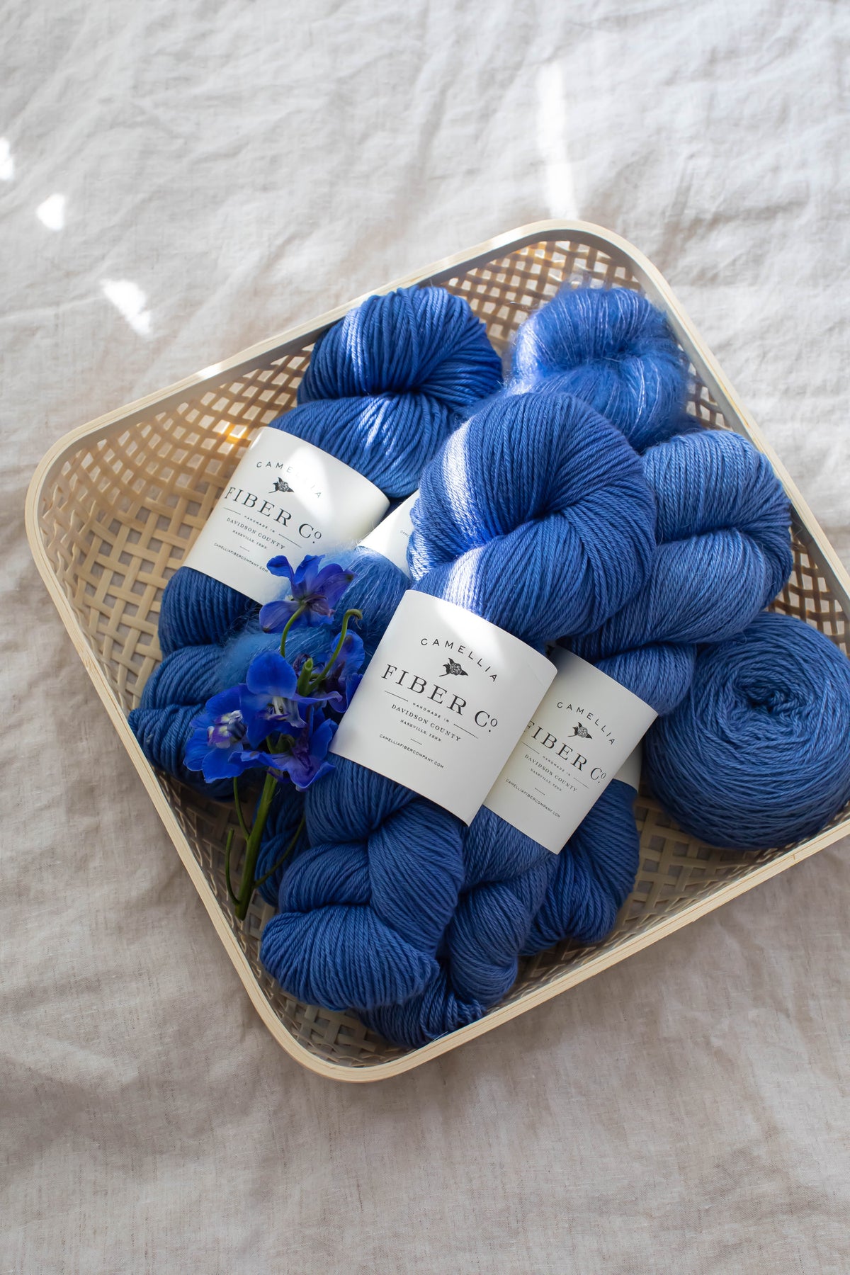 Fall '26 - Bluebell