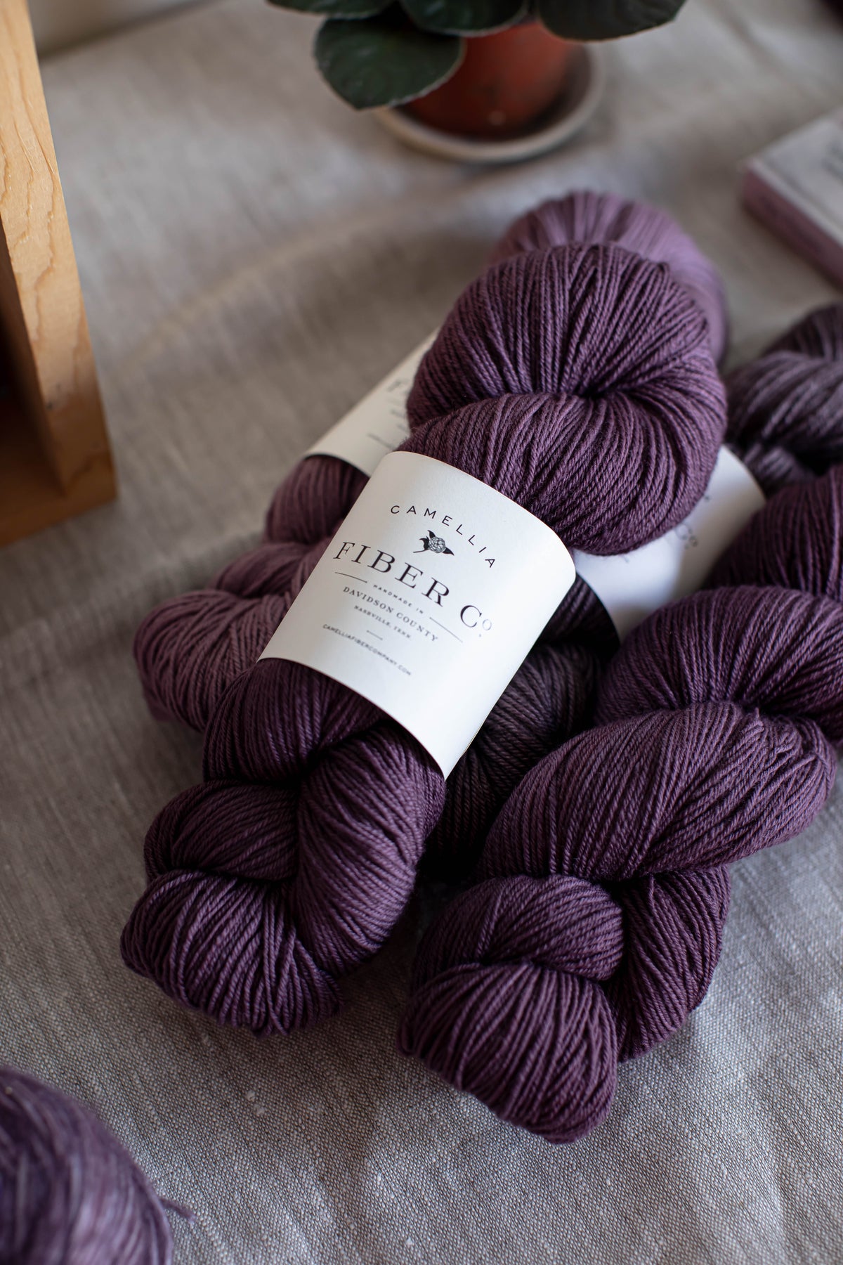 African Violet - Seasonal Yarn