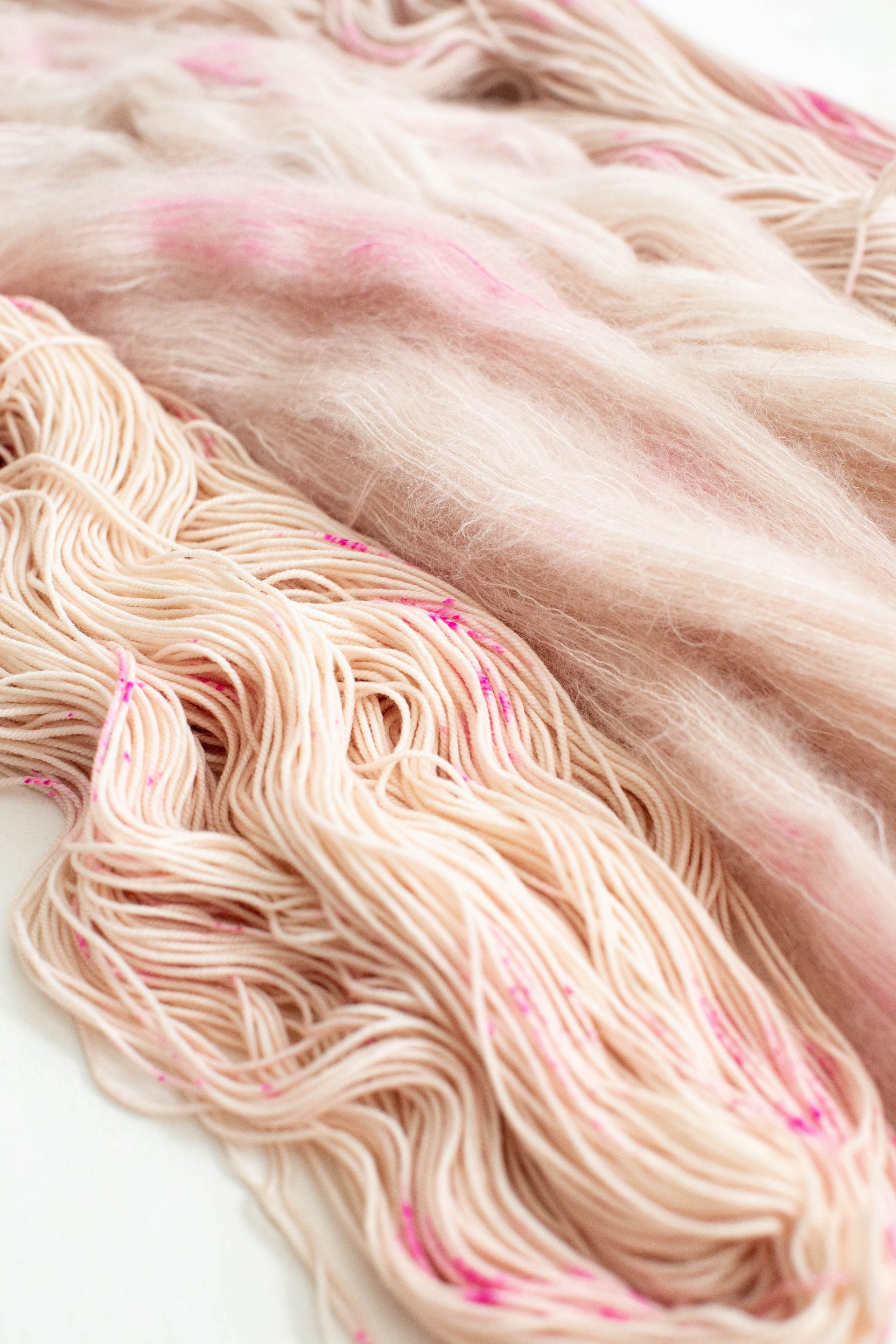 Limited Edition - CFC Love, Camellia