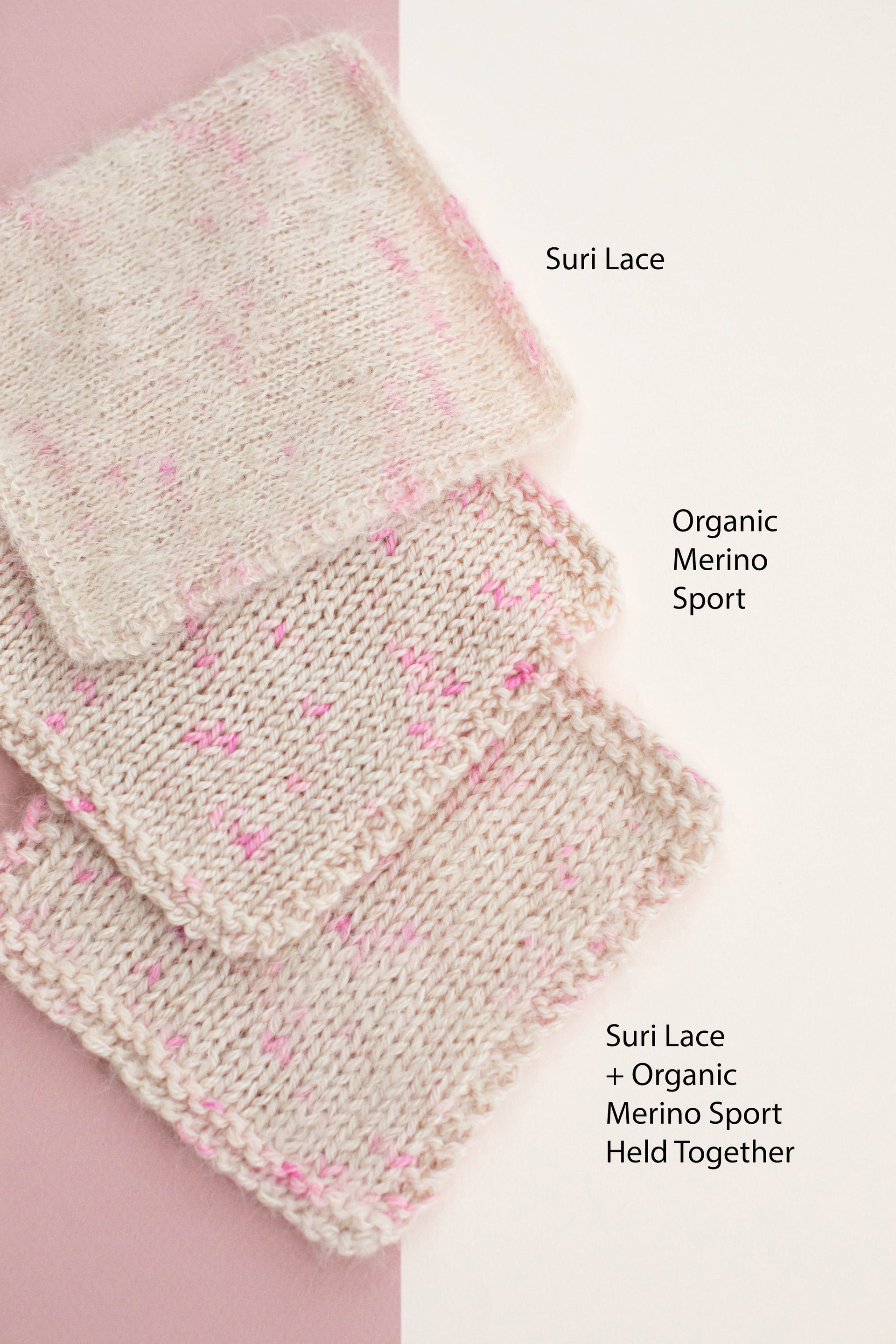 Limited Edition - CFC Love, Camellia