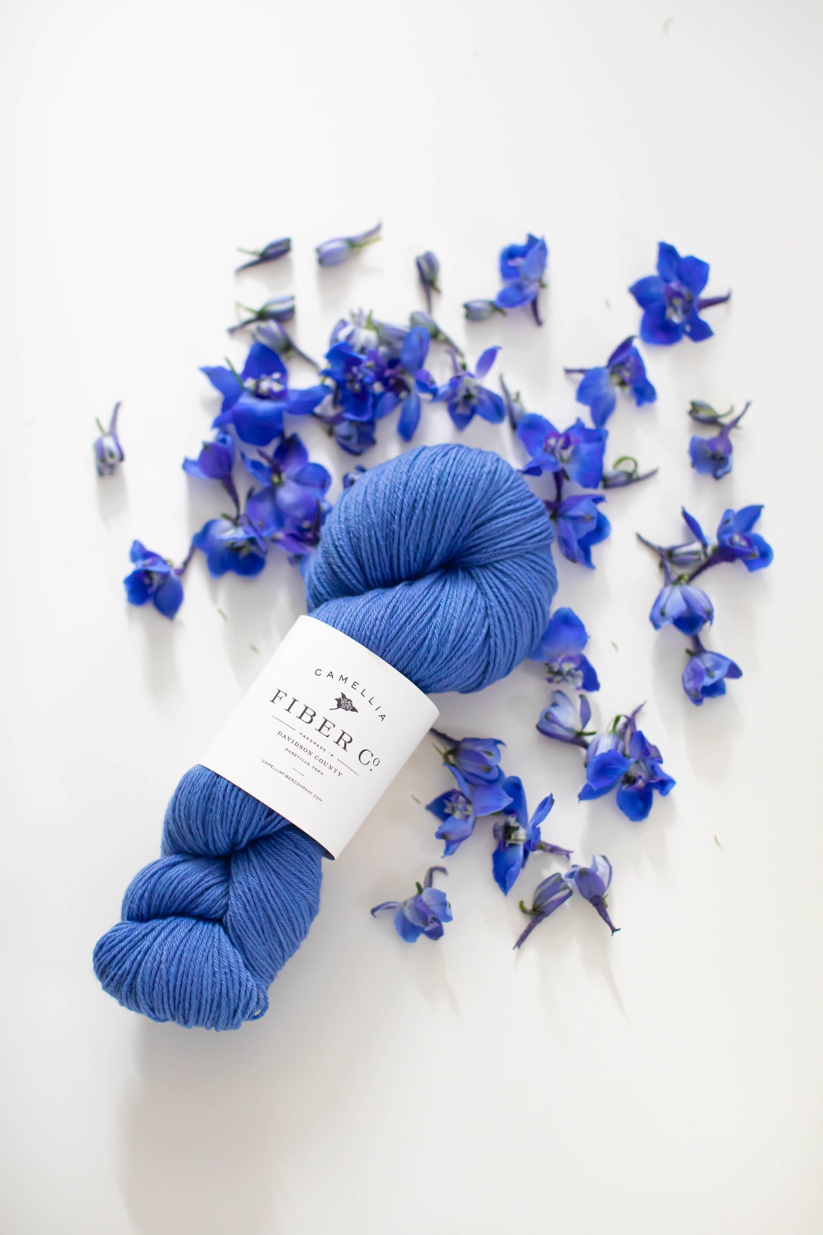 Fall '26 - Bluebell