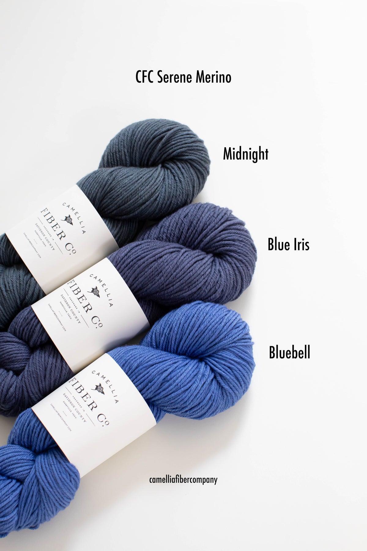 Fall '26 - Bluebell