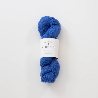 Fall '26 - Bluebell