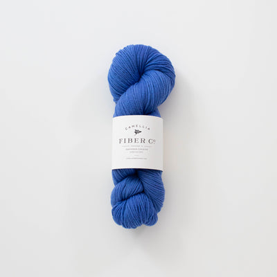 Fall '26 - Bluebell