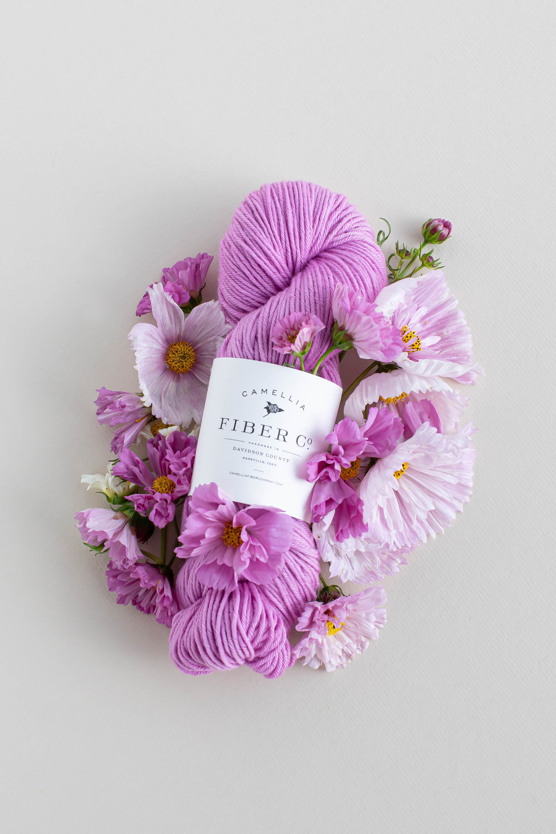 Summer '26 - Cosmos