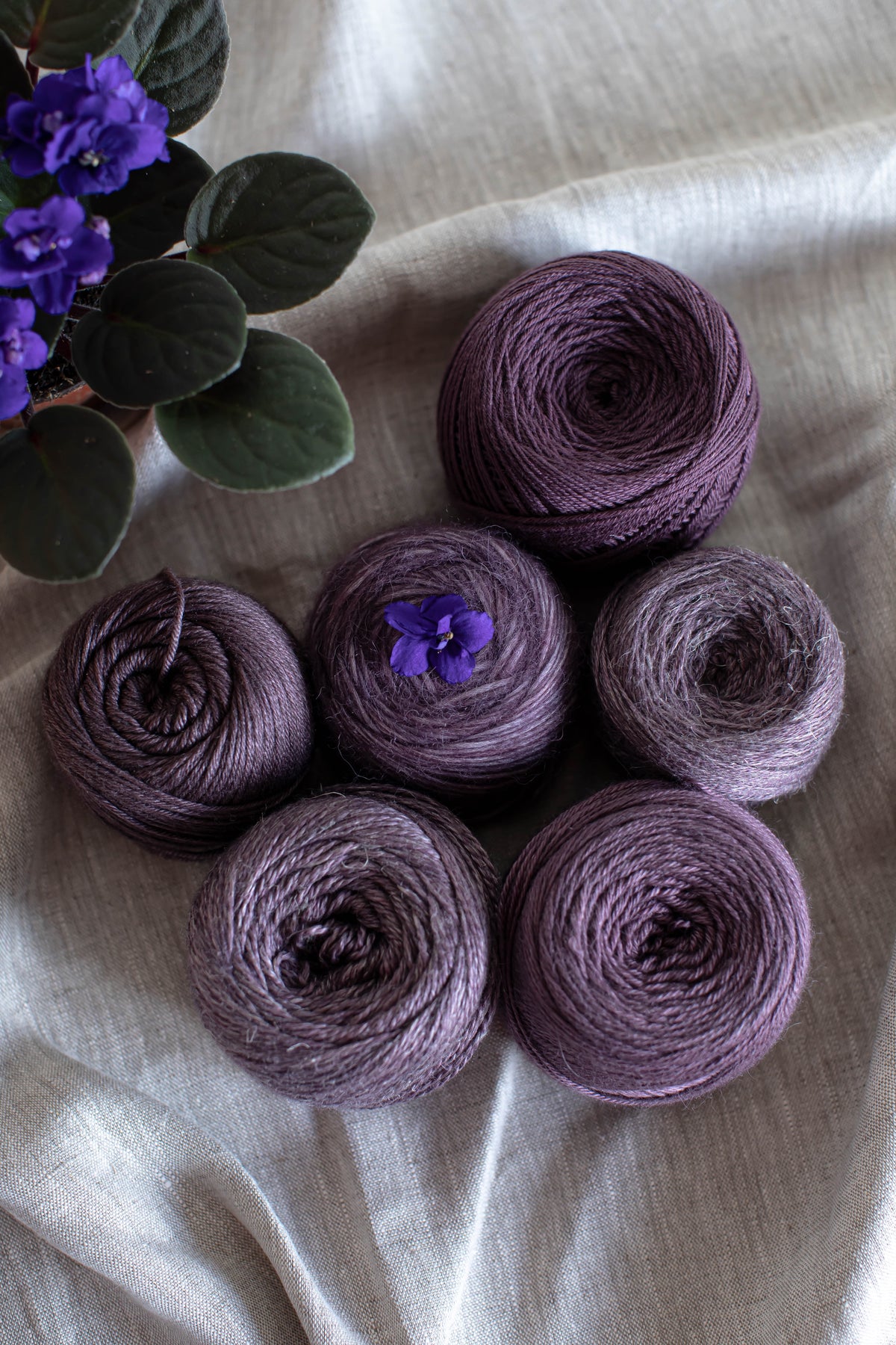African Violet - Seasonal Yarn