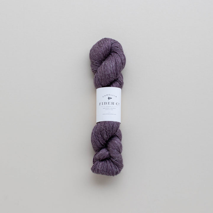 Fall '25 - African Violet