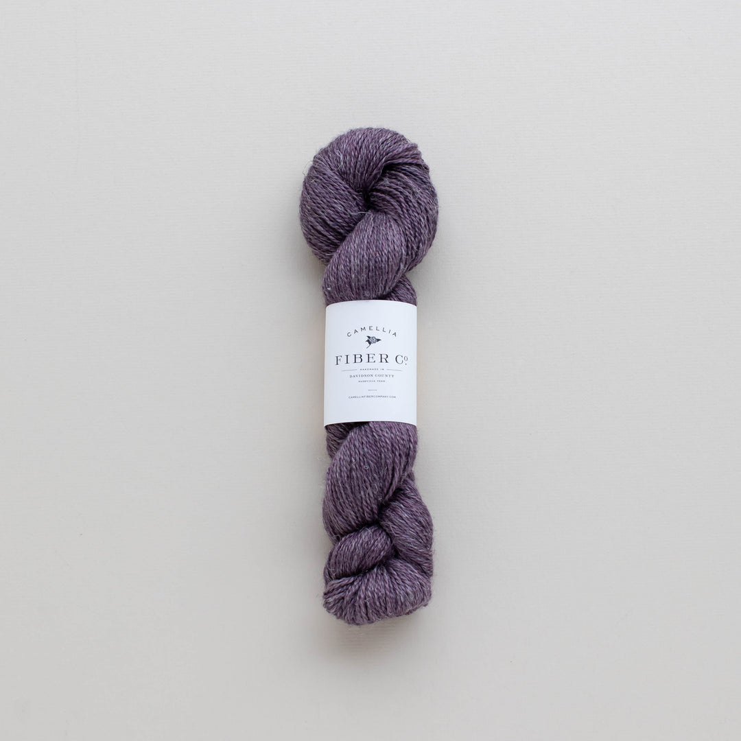 Fall '25 - African Violet