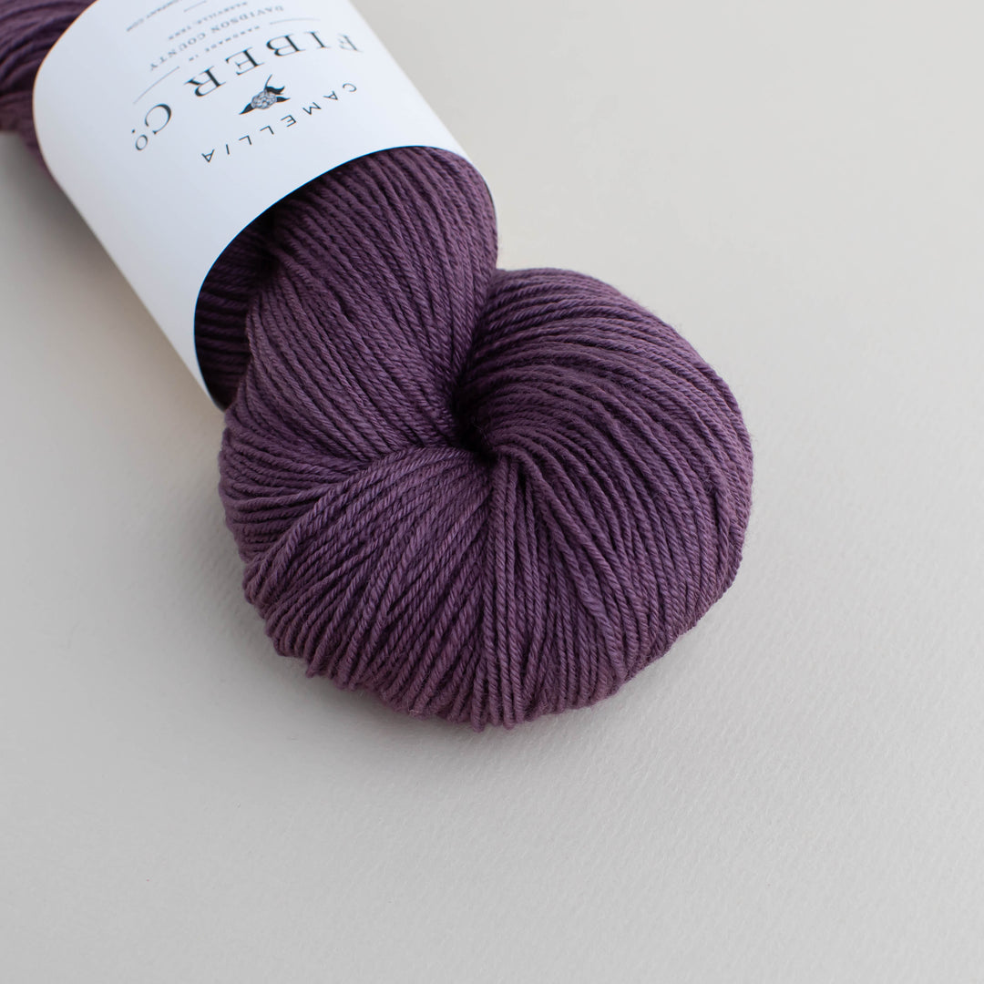 Fall '25 - African Violet
