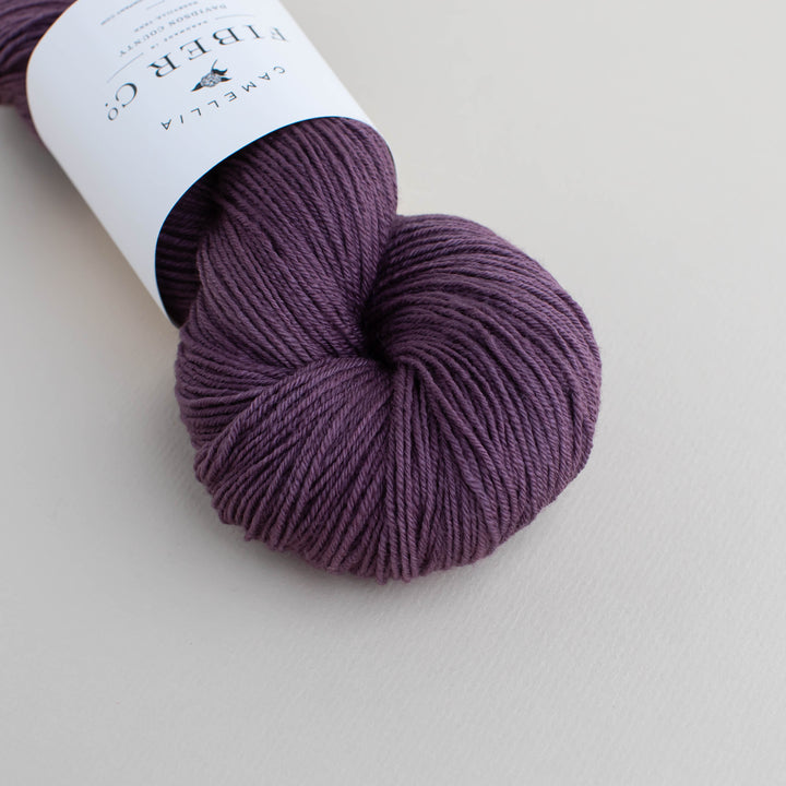 Fall '25 - African Violet