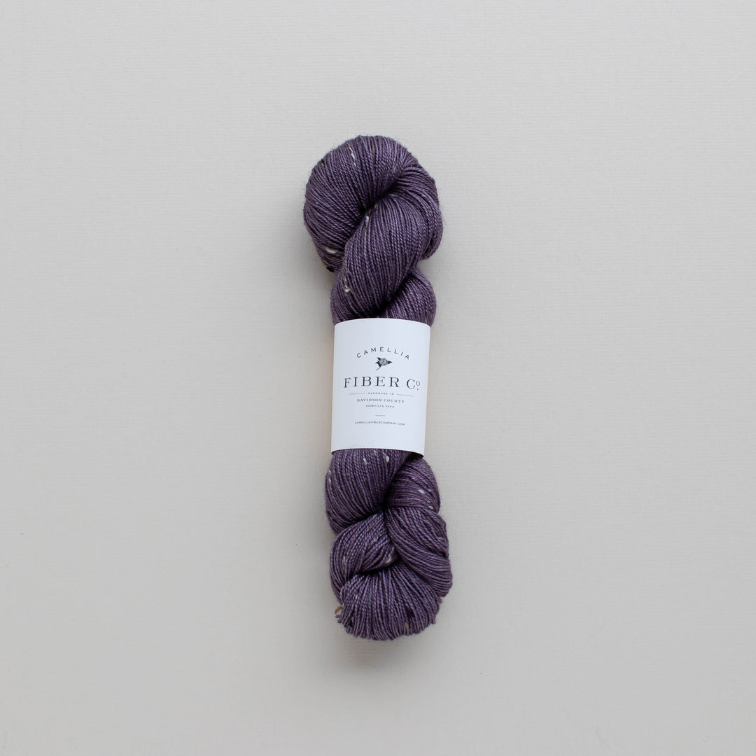 Fall '25 - African Violet
