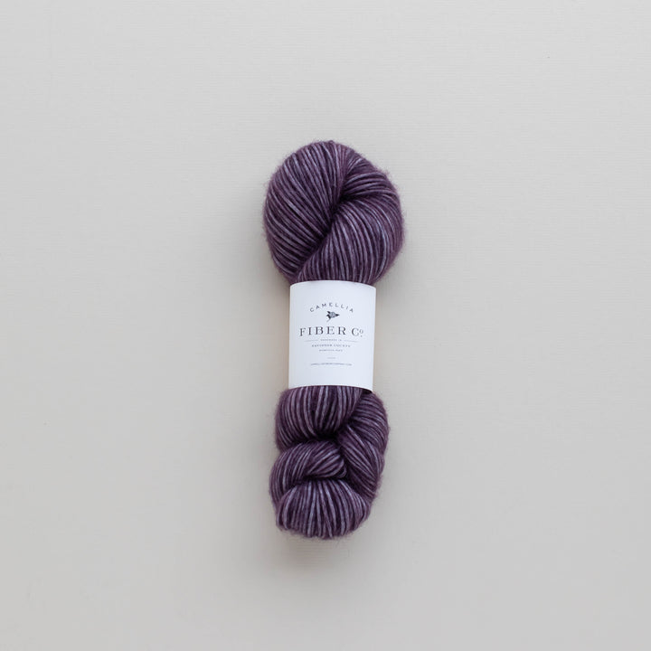 Fall '25 - African Violet