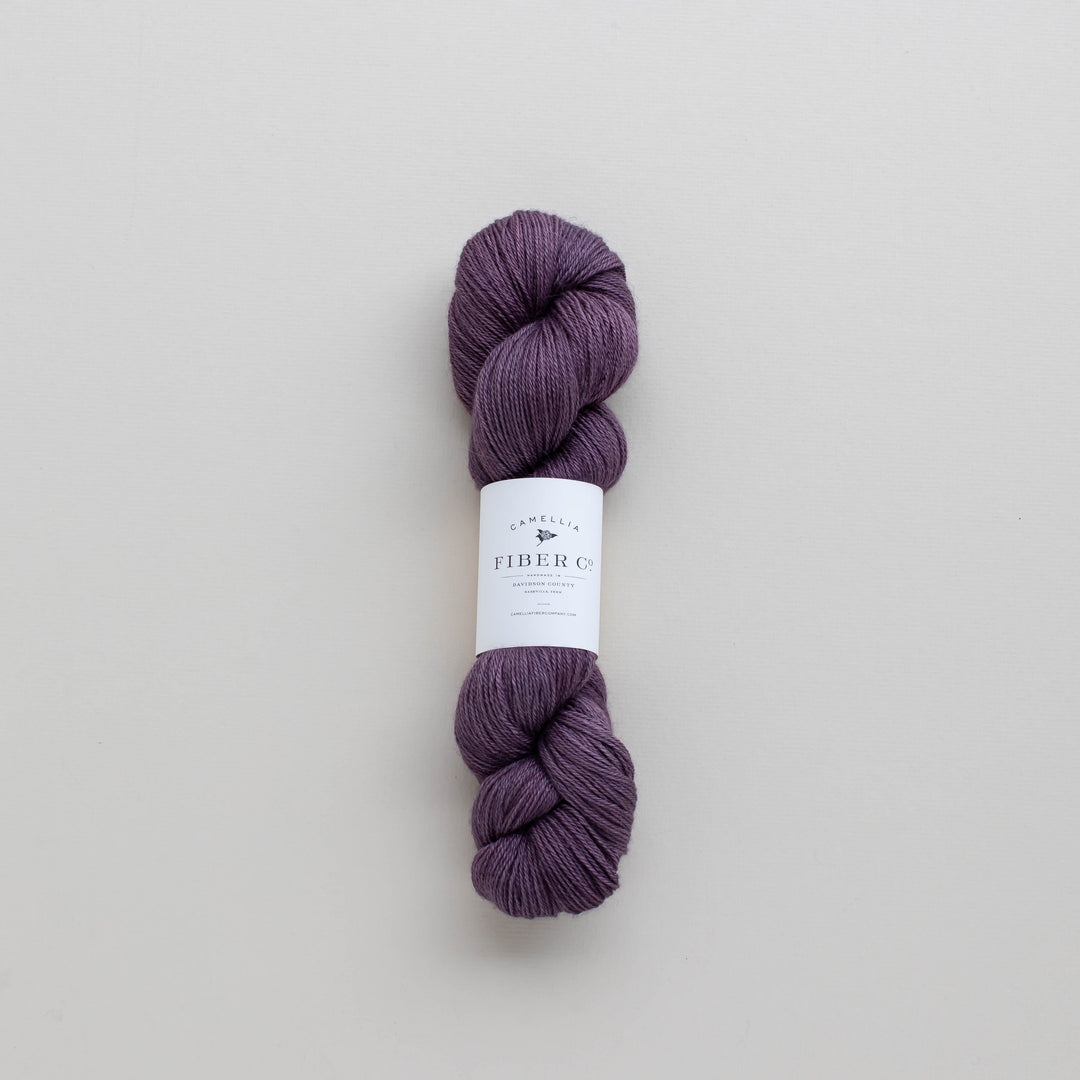 Fall '25 - African Violet