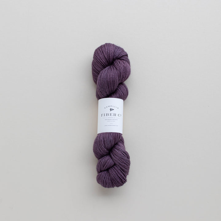Fall '25 - African Violet