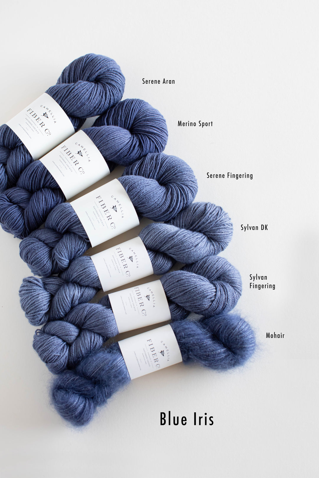 Winter '25 - Blue Iris