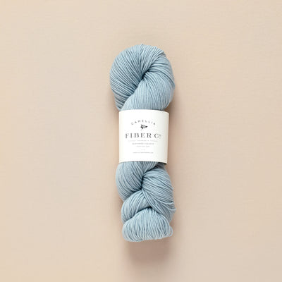 SW Merino Fingering Yarn