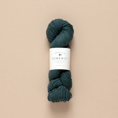SW Merino Fingering Yarn