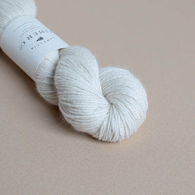 CFC Sylvan DK