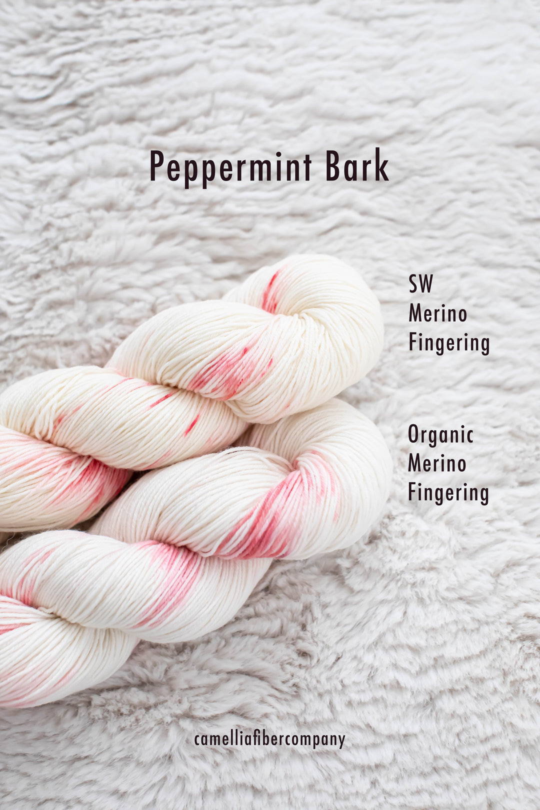 CFC 2025 Holiday Edition