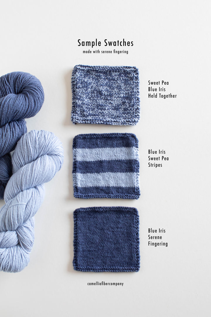 Winter '25 - Blue Iris