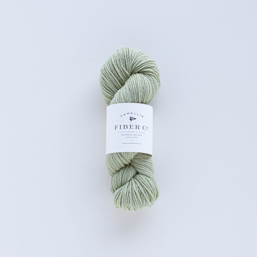 Exclusive CFC Serene DK