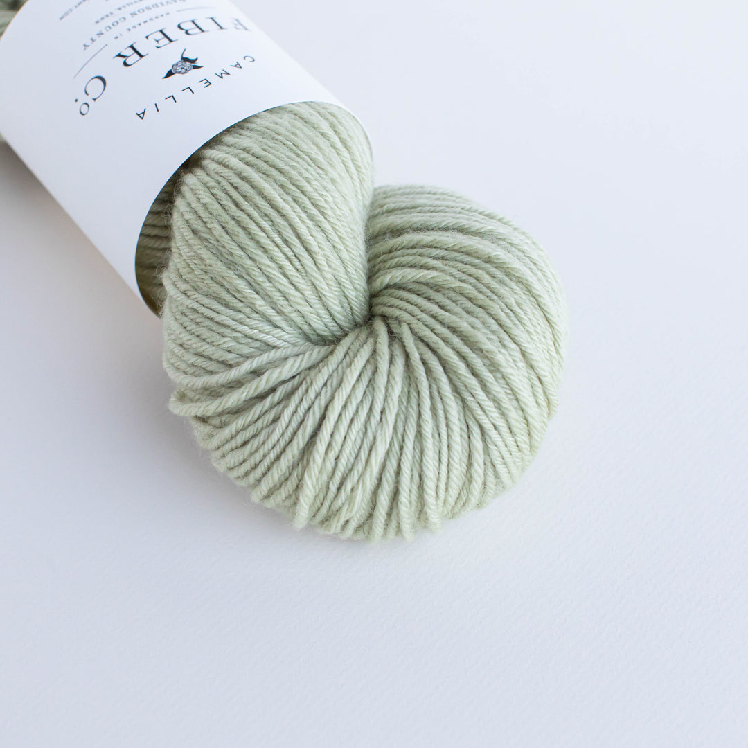 Exclusive CFC Serene DK