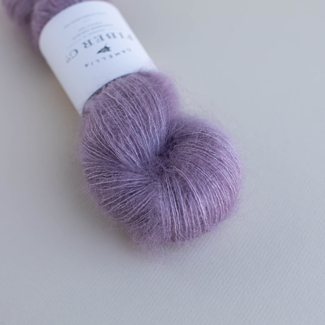 Fall '25 - Wisteria