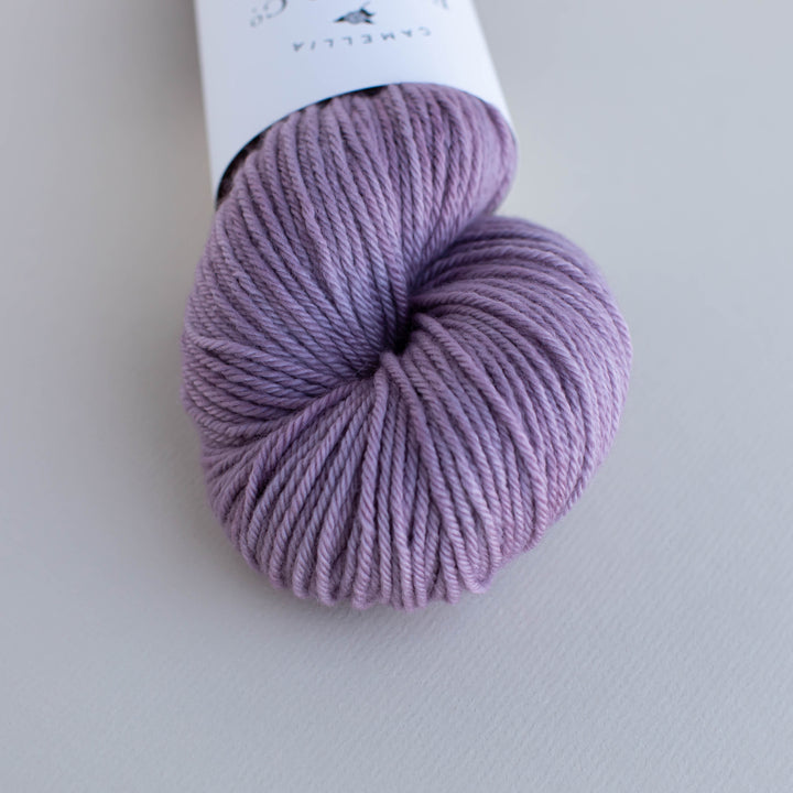 Fall '25 - Wisteria