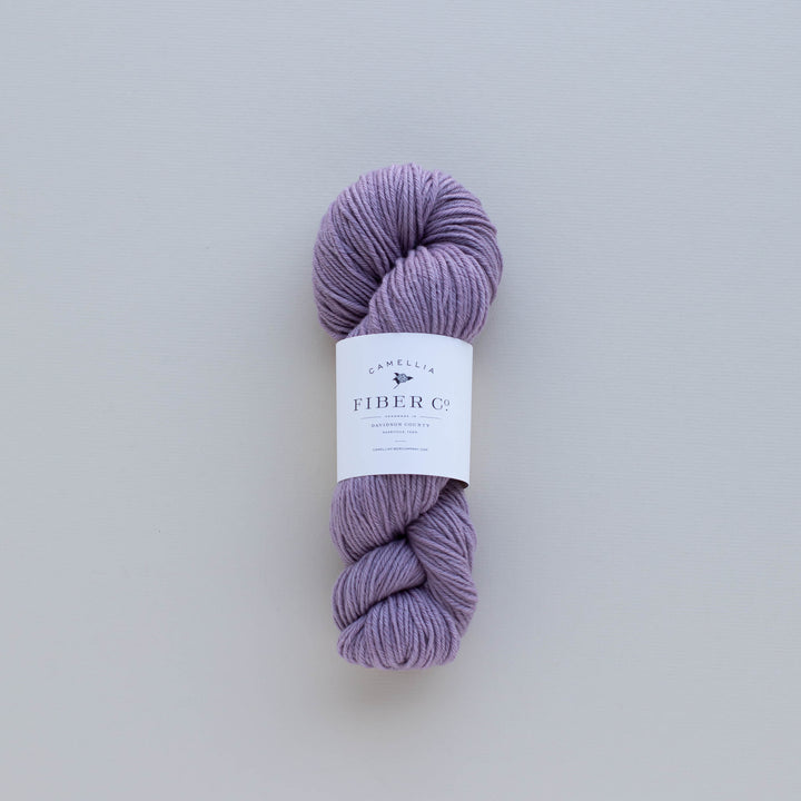 Fall '25 - Wisteria