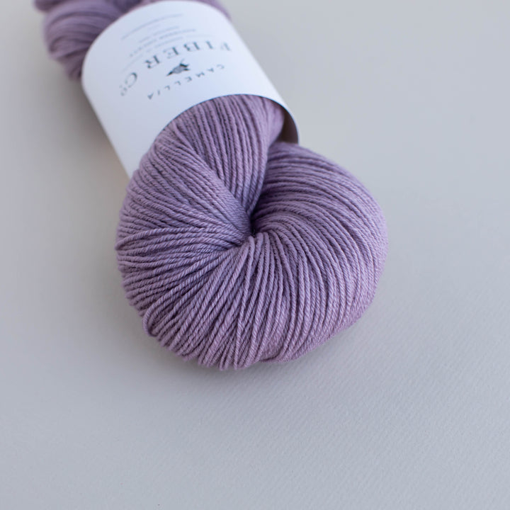 Fall '25 - Wisteria