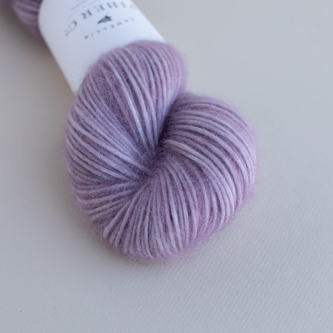 Fall '25 - Wisteria