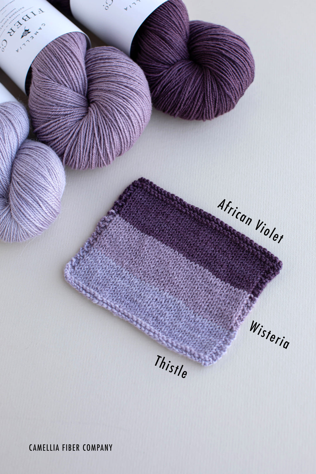 Fall '25 - Wisteria