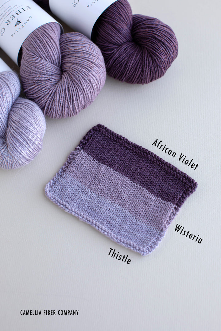 Fall '25 - Wisteria