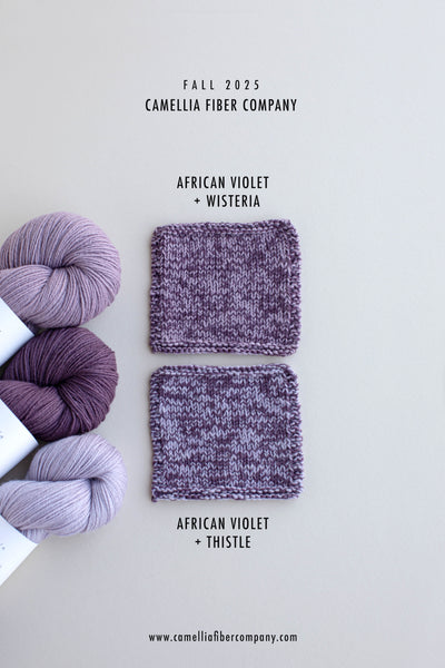 SW Merino Fingering Yarn