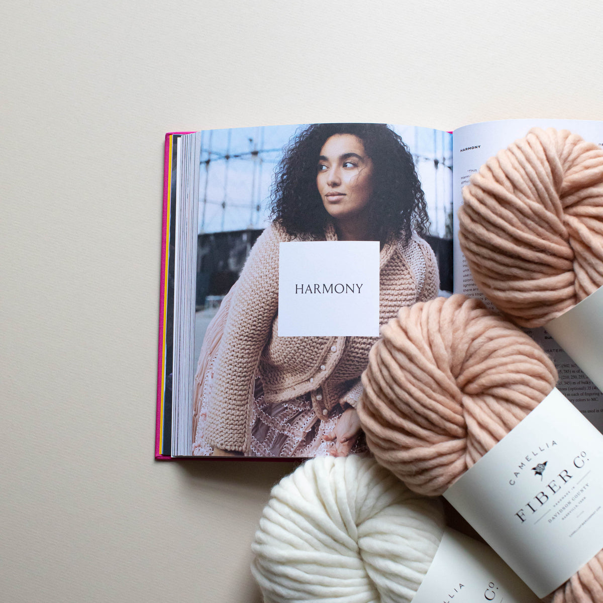 Neons & Neutrals Book by Aimée Gille